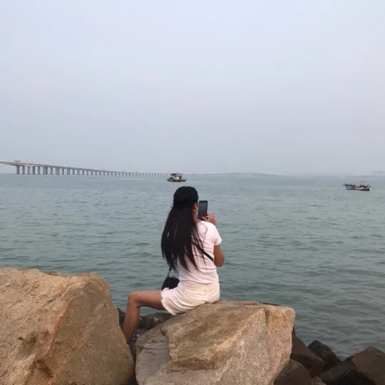 大脸猫奇奇