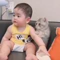 糖豆豆爱猫