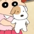 帕恰宝