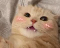 无眠