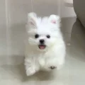 小渔不是鱼🐟