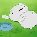 星小屿Sigrid