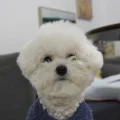 容颜不老