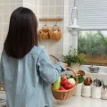 凯西投食记