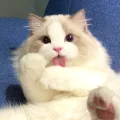 grapelu