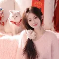 小太阳的美好生活