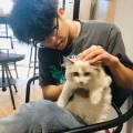 章余飞不是章鱼飞