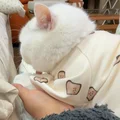 小y嘤嘤嘤