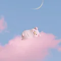 牧歌妈妈
