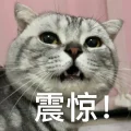 面瘫安东尼