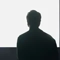 三只松猫