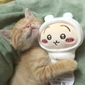 Dreamy