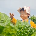 一只小柚汐