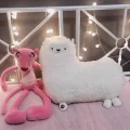 婷宝政宝