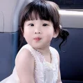 小核桃 Molly