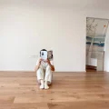 一清精简生活