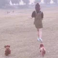 不完美小姐的美梦