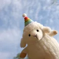 小槑的分享