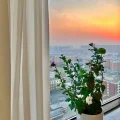 小王的家🏠