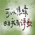 焦野綠