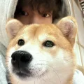 魏九日