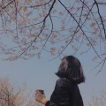 Echo摄影