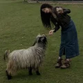 王要要