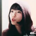 是狗姨呀