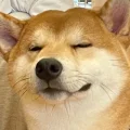 栗子🌰超能吃