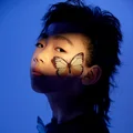 张振宇Kimi