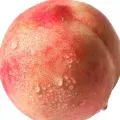 桃桃桃桃汁er