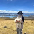 泡面头