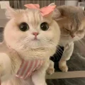 睡死