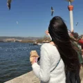 罗七七