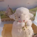曼曼不聪明