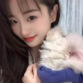 周周日记