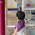 一颗鱼肉丸🏠