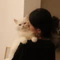 我家百万在装修