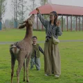 Miko的家