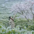 周大鱼（自建房装修中）