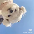 沐一辰🏠
