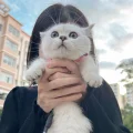 9块9和ok妹