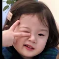 苏东坡