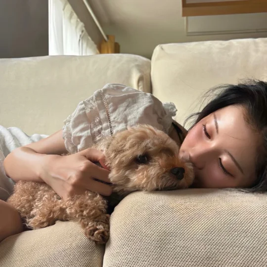 飞飞鱼
